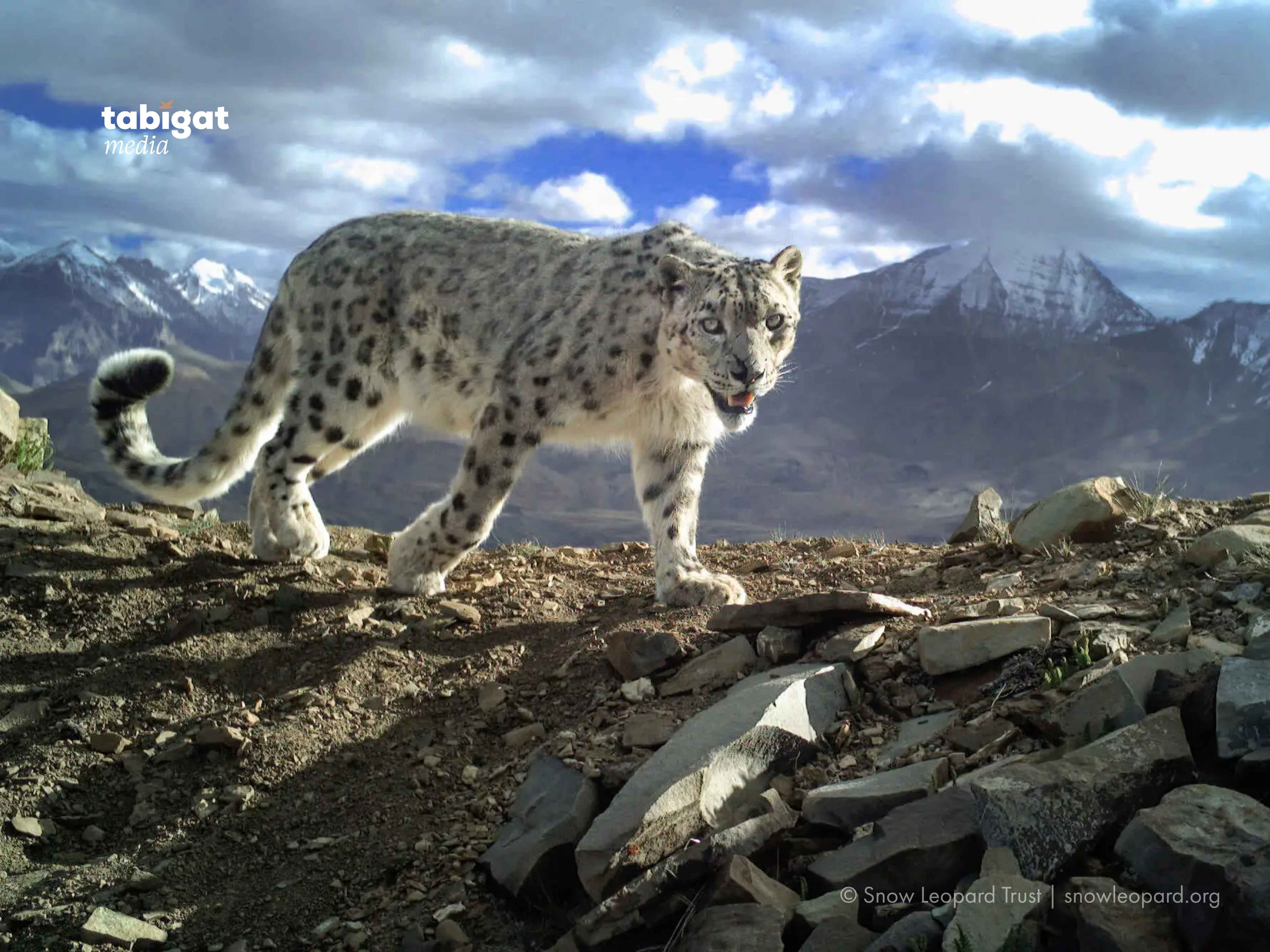 Кайли Миноугтың порно фейктерін онлайн көріңіз